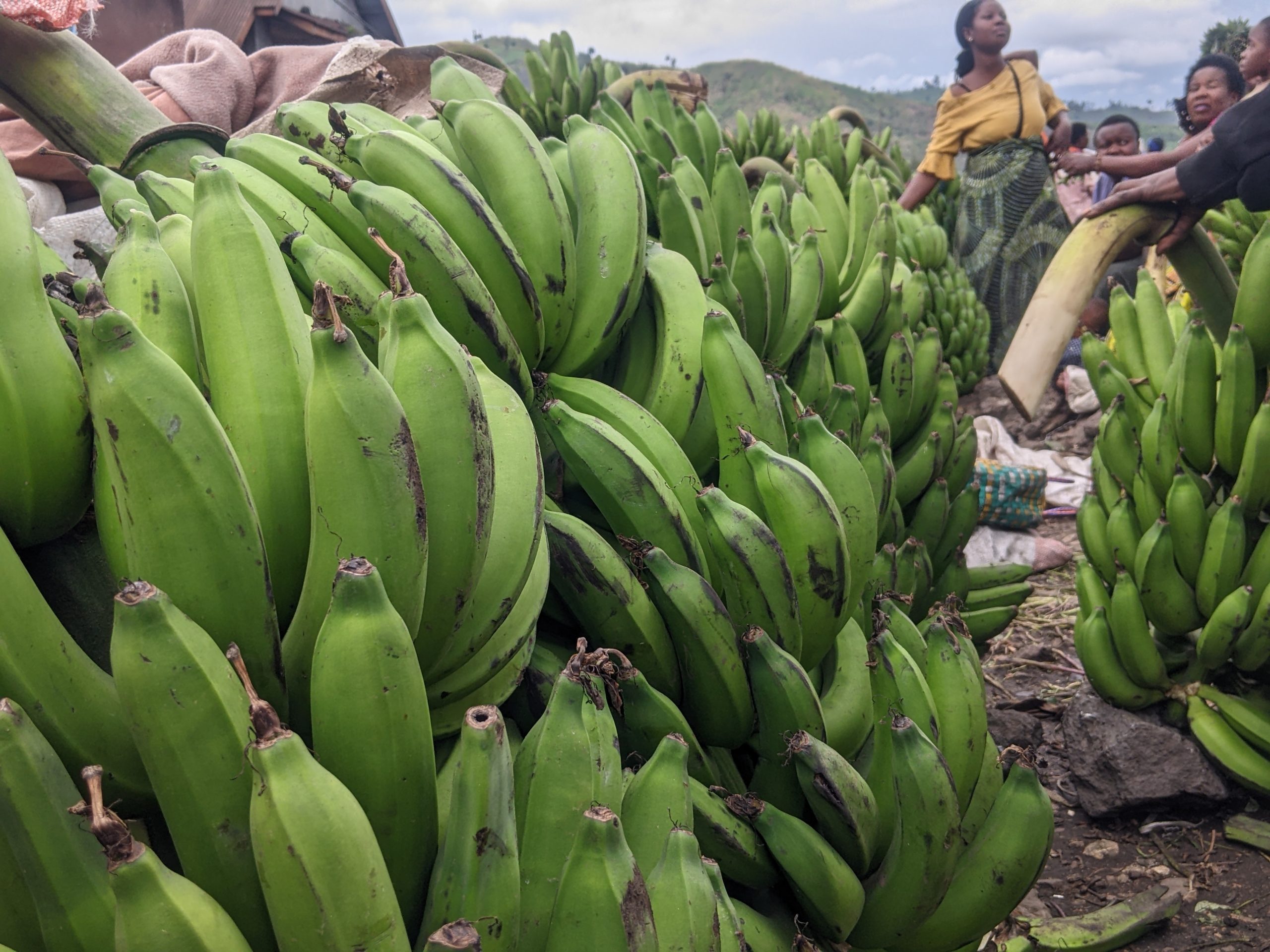 Masisi : Le marché de Sake séduit par l’abondance et la baisse des prix des produits vivriers