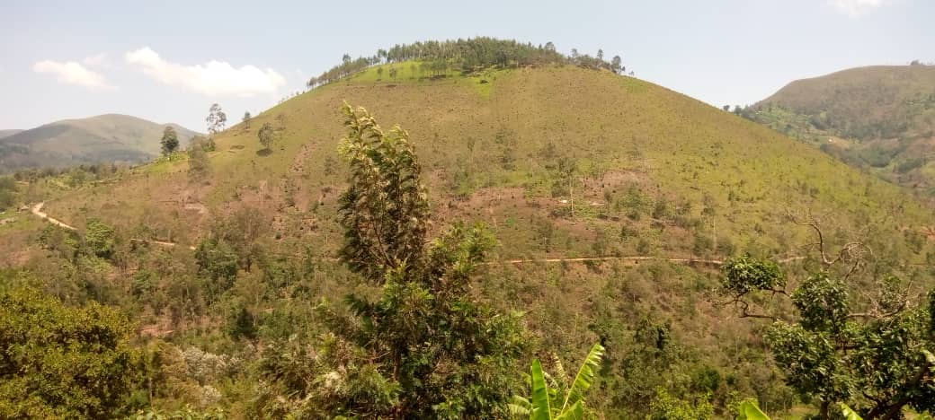 Mwenga : Deux individus agressent un homme à la sortie de la messe à Kabalole